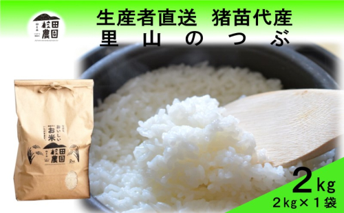 米 令和6年度産 新米 里山のつぶ 2kg 白米 精米 生産者直送 直送 1881265 - 福島県猪苗代町