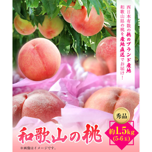 【先行予約】和歌山県産桃（もも）約1.5kg(5～6玉)秀品  前商店《6月中旬-8月上旬頃出荷》 和歌山県 紀の川市 188126 - 和歌山県紀の川市