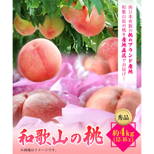 【先行予約】和歌山県産桃（もも） 約4kg 12～16玉秀品 前商店《6月中旬-8月上旬頃出荷》 和歌山県 紀の川市 188133 - 和歌山県紀の川市