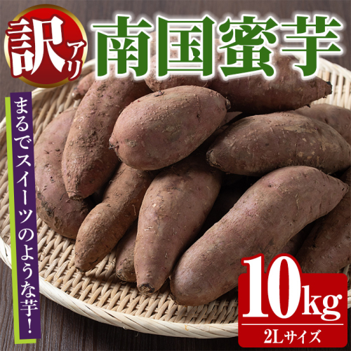 訳あり！数量限定！熟成芋「南国蜜芋」(2Lサイズ・10kg) 訳あり 国産 お芋 野菜 デザート 焼芋 焼き芋 焼きいも イモ 紅はるか 大学芋 訳アリ 詰め合わせ【うとさんち】akn067-08 1881527 - 鹿児島県阿久根市