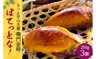 【和菓子屋がスイートポテト焼いちゃいました】ぽてっとな！250g×3個 [御菓子司つくし 大阪府 守口市 20940835]