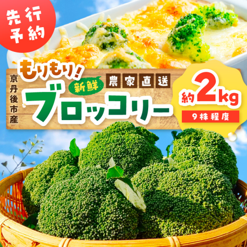 【先行予約】もりもり！ブロッコリー 約2kg（2026年11月上旬～発送） 1882618 - 京都府京丹後市