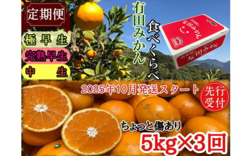 定期便 先行受付 2025年 10月発送スタート 有田みかん 食べくらべ 3種 ちょっと傷あり 5kg × 3回 コース 南泰園 1884125 - 和歌山県有田川町
