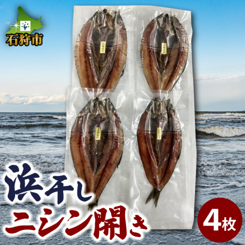 160028002 北海道産 浜干しニシン開き（4枚）約1.2kg 1884126 - 北海道石狩市