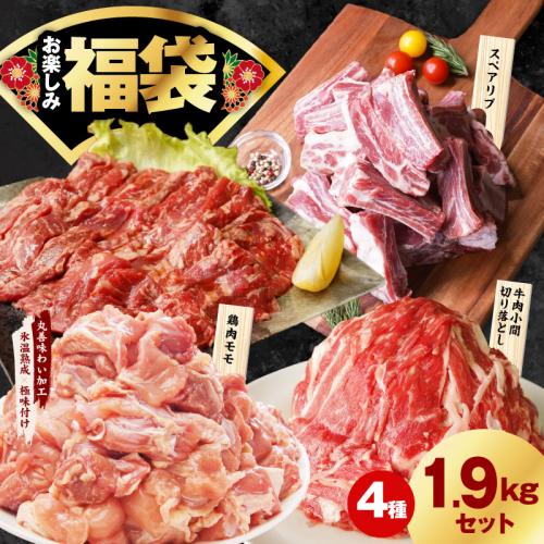 肉福袋 4種 1.9kg 焼肉セット（牛肉 切り落とし／牛ハラミ／豚肉 スペアリブ／鶏肉）【氷温熟成×極味付け 焼くだけ 食べ比べ ふくぶくろ お楽しみ 簡単調理】 mrz0327 1884212 - 大阪府泉佐野市