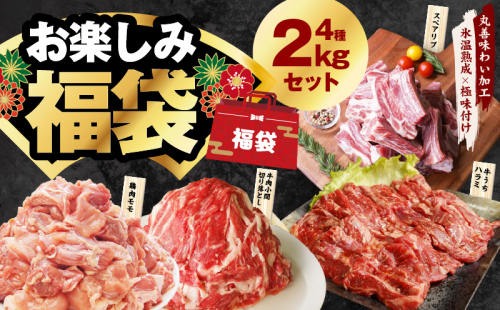 お楽しみ福袋 4種 2kgセット（牛肉 切り落とし／牛ハラミ／豚肉 スペアリブ／鶏肉）【氷温熟成×極味付け 焼肉 焼くだけ 食べ比べ お楽しみ 簡単調理 期間限定】 mrz0090 1884212 - 大阪府泉佐野市