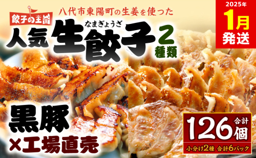 【2025年1月発送】八代市東陽町の生姜を使った 餃子の王国 人気生餃子126個 ぎょうざ ギョウザ 1884883 - 熊本県八代市