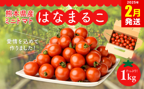 【2025年2月発送】熊本県産 ミニトマト はなまるこ 1kg 野菜 旬 熊本 とまと 1884901 - 熊本県八代市