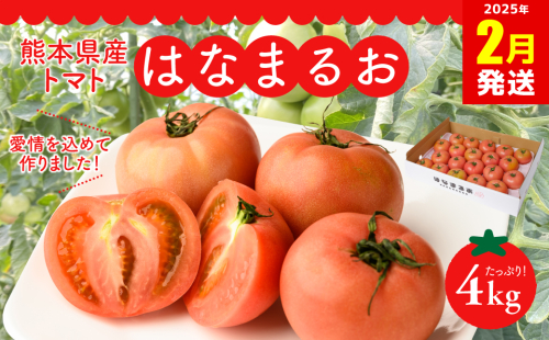 【2025年2月発送】熊本県産 トマト はなまるお 4kg トマト とまと 八代市産 1884904 - 熊本県八代市