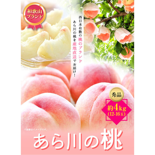 【先行予約】和歌山産あら川の桃　約4kg （12玉～16玉） 秀品 前商店《6月末-8月上旬頃出荷》 和歌山県 紀の川市 188495 - 和歌山県紀の川市