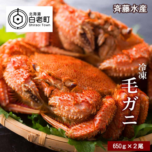 大サイズ！冷凍毛がに約650g×2尾【斉藤水産】　 188721 - 北海道白老町