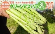 【先行予約】BT05　朝採り直送　夏芽グリーンアスパラガス（３L）１kg