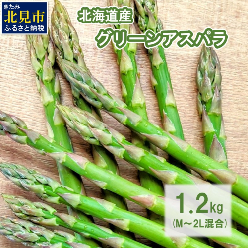 【朝採れ直送！】ほんのり甘い春の味覚！北海道のグリーンアスパラ 1.2kg M～2L混合サイズ ( アスパラガス グリーン 北海道 オホーツク 甘い 旬 サラダ 肉巻き) 【172-0002】 1888476 - 北海道北見市