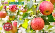 信州小諸産 サンふじりんご 家庭用 約5kg