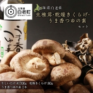 《北海道白老産》生椎茸・乾燥きくらげ×うま香つゆの素 セット【BB001】