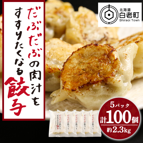 だぶだぶの肉汁をすすりたくなる餃子 100個（20個入×5パック） 188914 - 北海道白老町