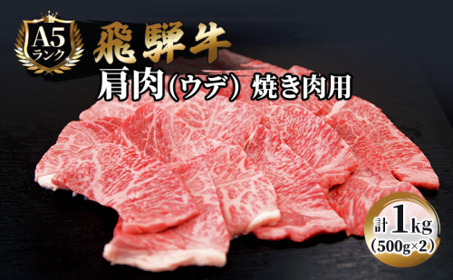 ふるさと納税　飛騨牛 牛肉 焼肉 肩肉 (ウデ)  500g×2 計1kg A5 和牛 189025 - 岐阜県池田町