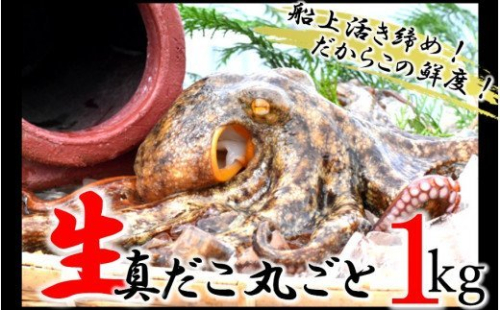 船上活き締め！生たこ丸ごと約1kg（約1～４杯）_1810R 189101 - 大分県国東市