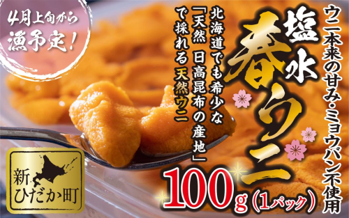＜ 2026年4月上旬より発送 ＞ うに 北海道 100g 使用するのは塩水のみ 日高沖産 塩水 生雲丹 春ウニ エゾバフンウニ ＜ 予約受付 ＞ 189204 - 北海道新ひだか町