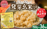 米 玄米 パックごはん 宮城県産「 金のいぶき 」発芽玄米 パックご飯 ( 150g × 12個 ) × 3個口 合計36個 [ 宮城 ブランド 玄米 ] レトルト ごはん ご飯 レトルトごはん レンジ レンチン パックライス 簡単 お手軽 アウトドア キャンプ 備蓄 非常食 防災グッズ 保存食 常備 防災 | JA加美よつば農業協同組合 宮城県 加美町 yo-pg-kin-36s