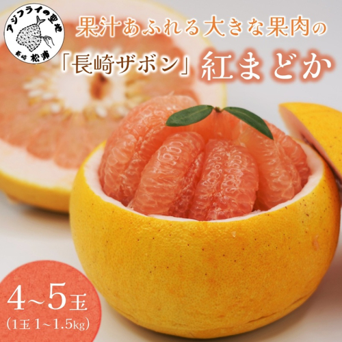 『期間限定』柑橘の王様！「長崎ザボン」果汁あふれる大きな果肉の 紅まどか(4～5玉) ( 長崎ザボン ザボン 果物 紅まどか )【B4-111】 189223 - 長崎県松浦市