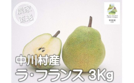 中川村産西洋梨　ラ・フランス　約３Kg