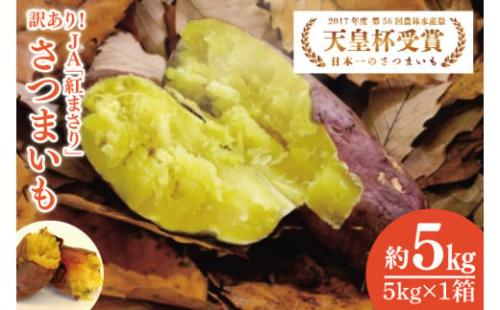 【2026年2月より順次発送】【訳あり】行方かんしょ「紅まさり」さつまいも約5kg（洗い・不揃い・C品）｜さつまいも サツマイモ さつま芋 お芋 紅まさり 訳あり わけあり 訳アリ 行方かんしょ 茨城県 行方市(AE-110)