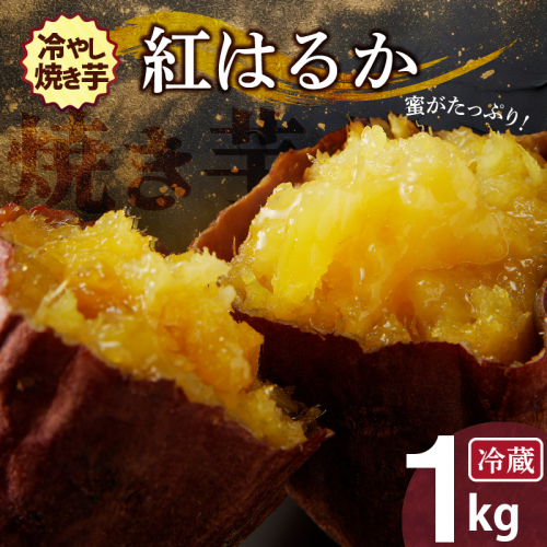焼き芋 蜜たっぷり！冷やし焼き芋 ひえひえ君 紅はるか 1kg(500g×2) 芋スイーツ　H047-030 189708 - 愛知県碧南市