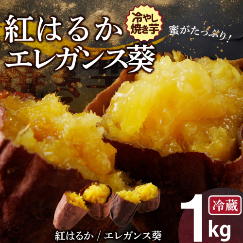 焼き芋 蜜たっぷり！冷やし焼き芋 ひえひえ君 食べ比べ 1kg エレガンス葵＆紅はるか 芋スイーツ　H047-032 189709 - 愛知県碧南市