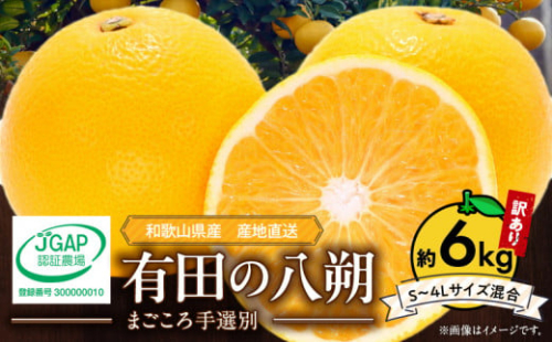 ZE6167n_【2026年先行予約】有田の八朔 (はっさく)【訳あり　家庭用】6kg　(S～4Lサイズ混合)　まごころ手選別 189805 - 和歌山県湯浅町