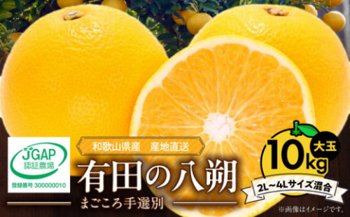 ZE6155n_【2026年先行予約】有田の八朔 (はっさく) 10kg  (2L～4Lサイズ混合)　まごころ手選別 189811 - 和歌山県湯浅町