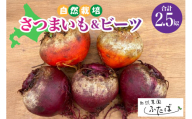 [2月より順次発送]北海道十勝芽室町 自然菜園ふたば 宇佐美亮のさつまいもとビーツセット 2.5kg me074-009c