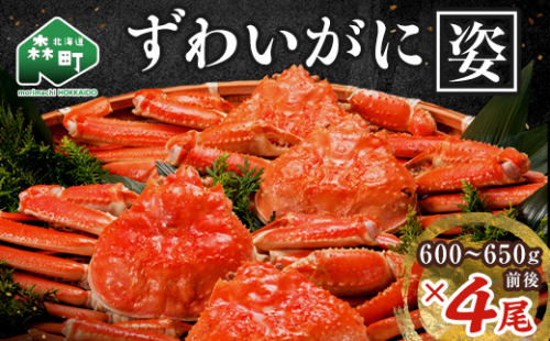 【順次発送】 ずわいがに姿 600～650g前後 4尾 ＜ワイエスフーズ＞ かに カニ 蟹 ガニ がに 森町 ふるさと納税 北海道 ずわいがに ずわいかに ズワイガニ mr1-0853-1 189856 - 北海道森町