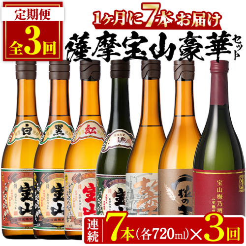 No.803 ＜定期便・全3回(連続)＞鹿児島焼酎！薩摩宝山の豪華セット(7銘柄・各720ml×1本×3回) 焼酎 酒 アルコール 宝山 薩摩芋 常温 セット 定期便 頒布会 【西酒造】 189886 - 鹿児島県日置市