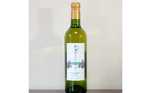 【信州産りんご】林檎ワイン（720ml×1本） 189903 - 長野県駒ヶ根市