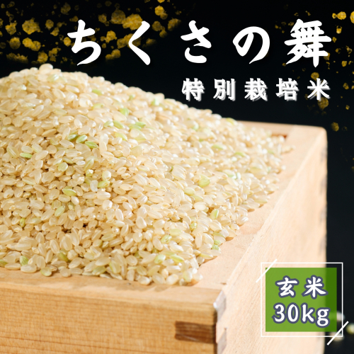 P13【令和6年産】 清流が育む　コシヒカリ 「ちくさの舞」 玄米 30ｋｇ 189906 - 兵庫県宍粟市