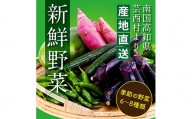 朝どれ！ 野菜詰合せ／芸西村で採れた新鮮な野菜5〜6種類をお届けします。特産品 ピーマン ナス こだわりの栽培方法 環境に優しい 安全で安心な野菜づくり コロナ 支援品