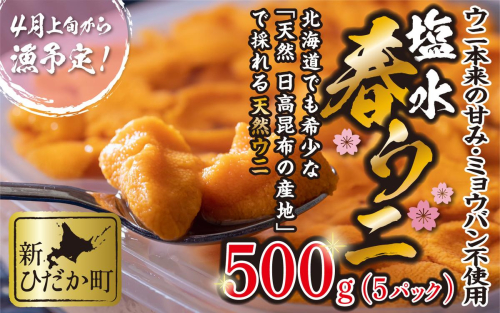 ＜ 2026年4月上旬より発送 ＞ うに 北海道 500g （ 100g × 5パック ） 使用するのは塩水のみ 日高沖産 塩水 生雲丹 春ウニ エゾバフンウニ ＜ 予約受付 ＞ 189914 - 北海道新ひだか町