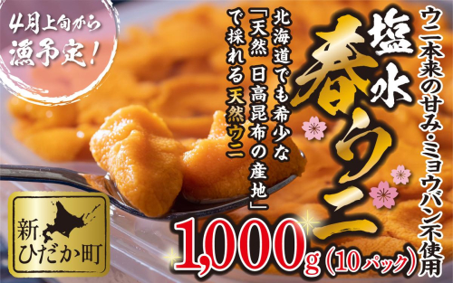 ＜ 2026年4月上旬より発送 ＞ うに 北海道 1,000g （ 100g × 10パック ） 使用するのは塩水のみ 日高沖産 塩水 生雲丹 春ウニ エゾバフンウニ ＜ 予約受付 ＞ 189916 - 北海道新ひだか町