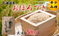 ＜10月より発送＞ 北海道米 令和4年度米 おぼろづき 玄米 5kg ＜予約商品＞