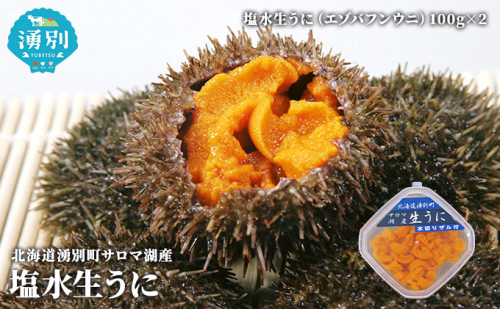 先行予約 2024年4月から配送北海道 湧別町 塩水 生うに 100g×2 ウニ エゾバフンウニ 魚貝類 雲丹 サロマ湖産 とろける 旨味 パスタ つまみ  189928 - 北海道湧別町