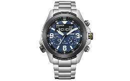 【ふるさと納税】 シチズン 腕時計 プロマスター JV1006-51L CITIZEN 時計 岩手県 北上市 W0058 エコ・ドライブ コンビネーションウオッ