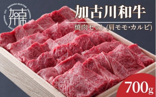 加古川和牛焼肉セット（700g） 肩モモ・カルビ 189991 - 兵庫県加古川市