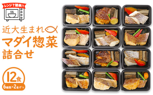 レンジで簡単！近大生まれマダイ惣菜詰合せ（12食） ｜ 真鯛 焼き魚 煮付け セット おそうざい 190019 - 和歌山県美浜町
