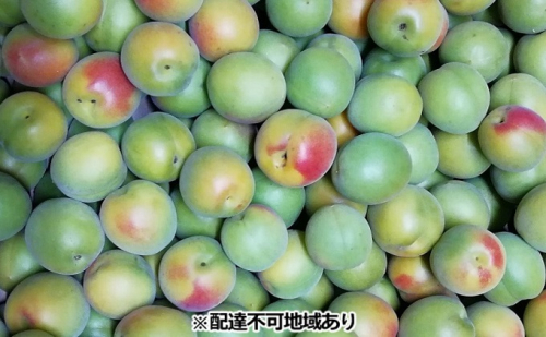 仁科農園産 南高梅(青梅 秀)「里山の梅夏宝玉」 4kg箱 梅 うめ ウメ エキス 梅酒 梅干し 果物 大きく 肉厚 梅ジャム 190022 - 岡山県里庄町