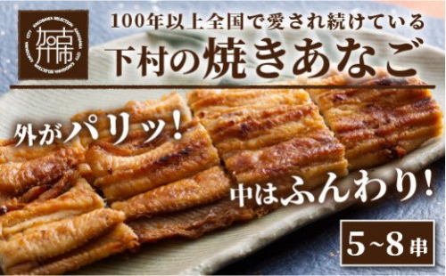 焼あなご(5～8串)《 魚介類 アナゴ 穴子 あなご 焼きあなご 海鮮 天然 ふるさと納税 あなご 加古川市 パリパリ 美味しい 穴子 丼串焼き お取り寄せ 人気 ギフト プレゼント 送料無料 おすすめ 》【2406D00703】 190099 - 兵庫県加古川市