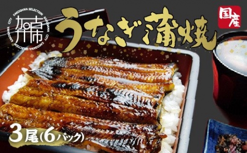 鰻の蒲焼き3尾（6パック）、たれ別、挽きたて粉山椒付 190129 - 兵庫県加古川市
