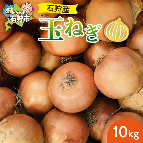 石狩産 玉ねぎ10kg【9月～11月発送】｜野菜 たまねぎ 北海道 石狩市 190165 - 北海道石狩市