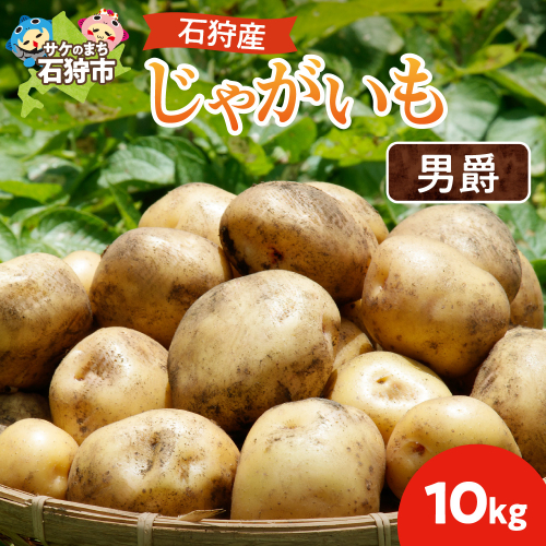 石狩産 じゃがいも（男爵） 10kg【9月発送】｜野菜 芋 北海道 石狩市 190171 - 北海道石狩市