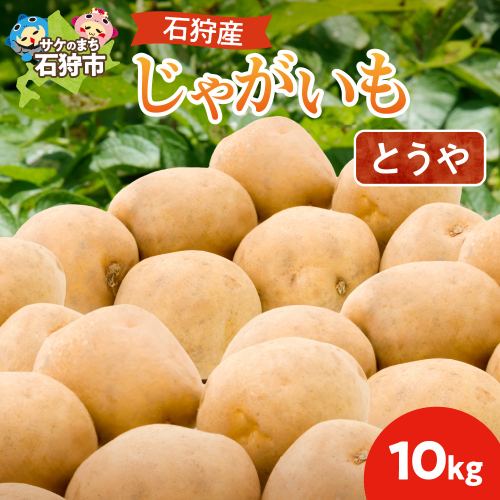 石狩産 じゃがいも（とうや） 10kg【9月発送】｜野菜 いも 北海道 石狩市 190172 - 北海道石狩市